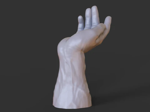 Male Hand Pose - Gesture - 23 3D Print Model