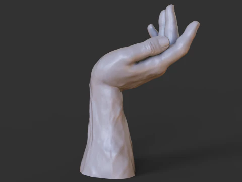 Male Hand Pose - Gesture - 23 3D Print Model