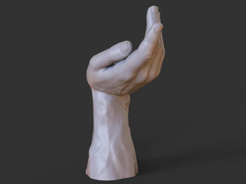 Male Hand Pose - Gesture - 23 3D Print Model