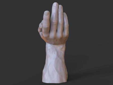 Male Hand Pose - Gesture - 23 3D प्रिंट मॉडल