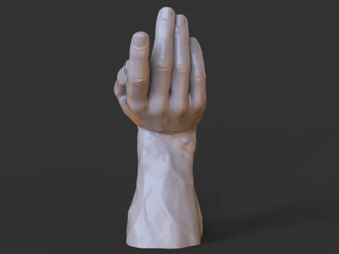 Male Hand Pose - Gesture - 23 3D Print Model