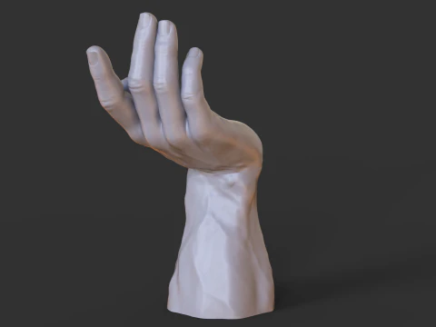 Male Hand Pose - Gesture - 23 3D Print Model