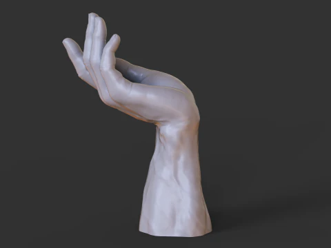 Male Hand Pose - Gesture - 23 3D Print Model