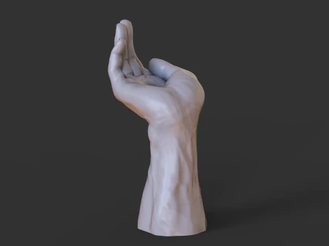 Male Hand Pose - Gesture - 23 3D Print Model