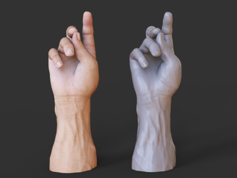 Male Hand Pose - Gesture - 24 3D Print Model