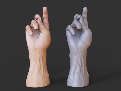 Male Hand Pose - Gesture - 24 3D Print Model