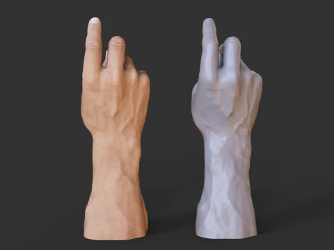 Male Hand Pose - Gesture - 24 3D Print Model