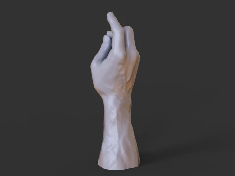 Male Hand Pose - Gesture - 24 3D Print Model