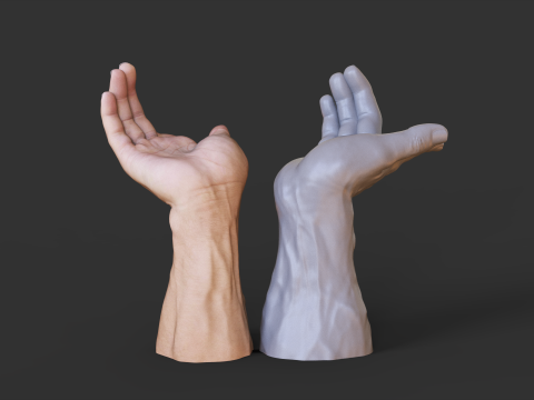 Male Hand Pose - Gesture - 25 3Dプリントモデル