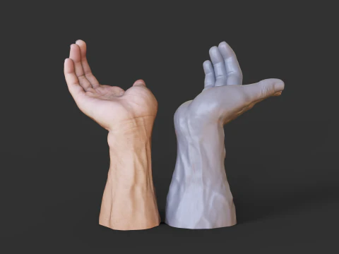 Male Hand Pose - Gesture - 25 3D Print Model