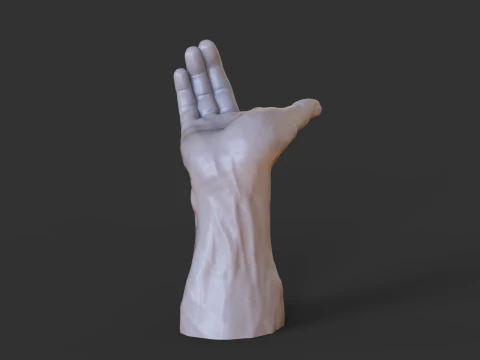 Male Hand Pose - Gesture - 25 3D Print Model