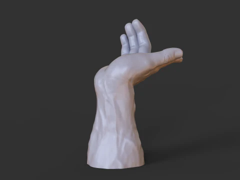 Male Hand Pose - Gesture - 25 3D Print Model