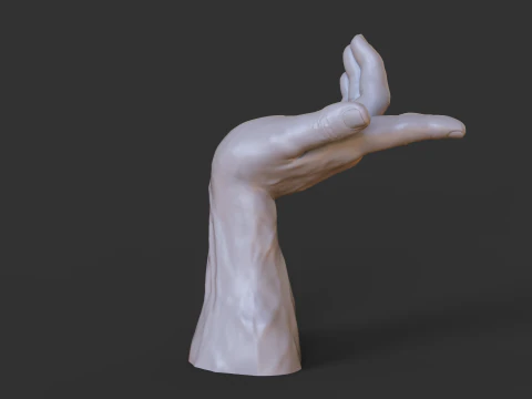 Male Hand Pose - Gesture - 25 3D Print Model