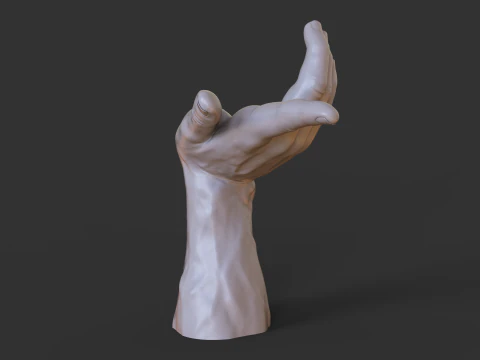 Male Hand Pose - Gesture - 25 3D Print Model