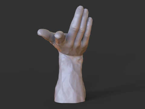 Male Hand Pose - Gesture - 25 3D Print Model