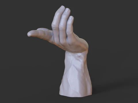 Male Hand Pose - Gesture - 25 3D Print Model
