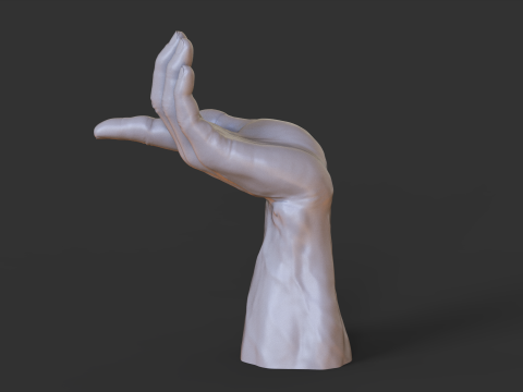 Male Hand Pose - Gesture - 25 3Dプリントモデル