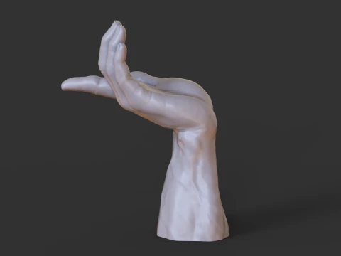 Male Hand Pose - Gesture - 25 3D Print Model