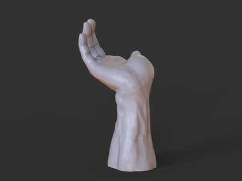Male Hand Pose - Gesture - 25 3D Print Model
