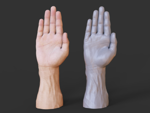 Male Hand Pose - Gesture - 26 Modelo de Impressão 3D