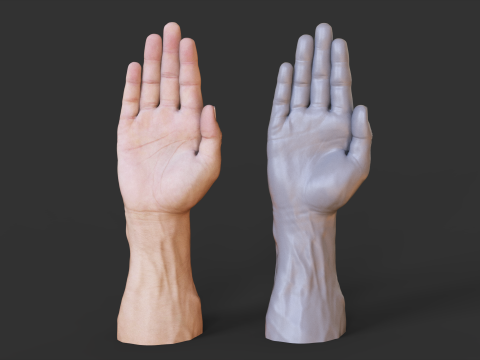 Male Hand Pose - Gesture - 26 3D Baskı Modeli