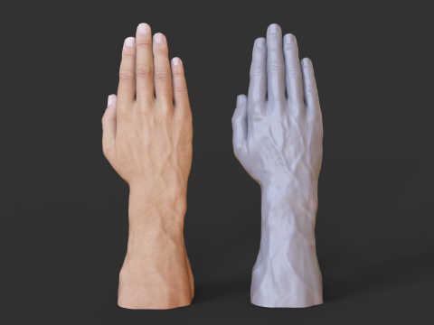 Male Hand Pose - Gesture - 26 3D Baskı Modeli