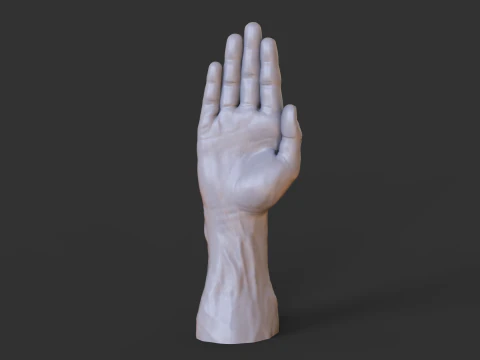 Male Hand Pose - Gesture - 26 3D Print Model