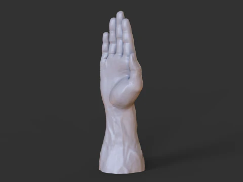 Male Hand Pose - Gesture - 26 3D Print Model