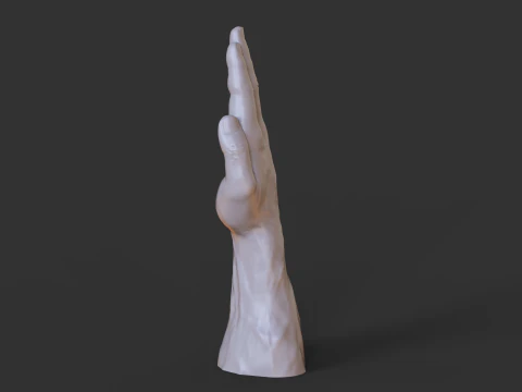 Male Hand Pose - Gesture - 26 3D Print Model