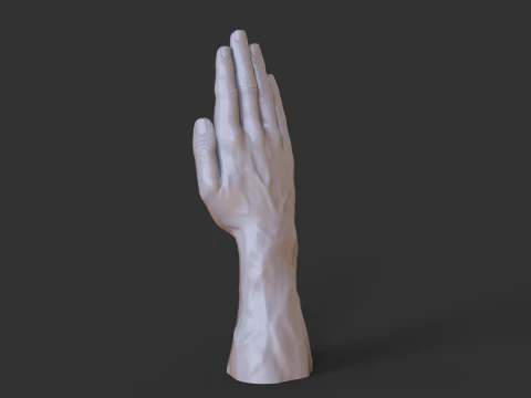 Male Hand Pose - Gesture - 26 3D Print Model