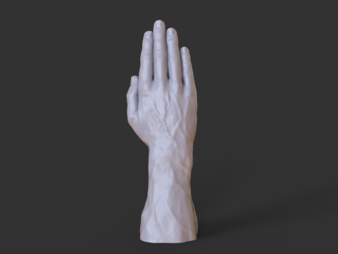 Male Hand Pose - Gesture - 26 3D Baskı Modeli
