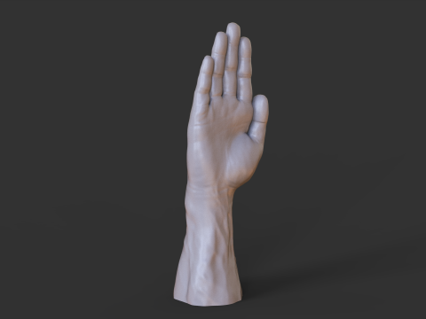 Male Hand Pose - Gesture - 26 3D Baskı Modeli