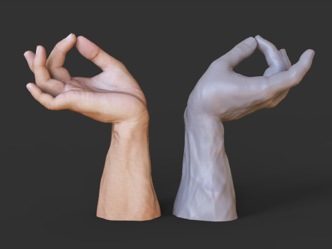Male Hand Pose - Gesture - 27 3D Print Model