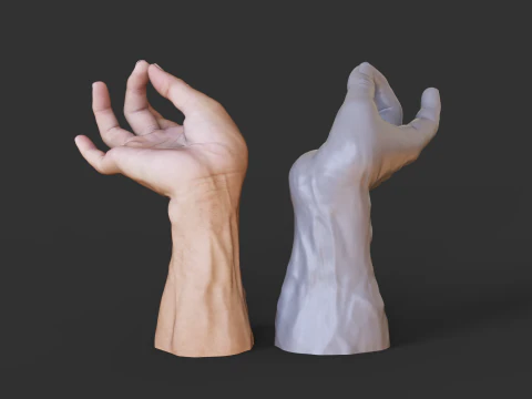 Male Hand Pose - Gesture - 27 3D Print Model