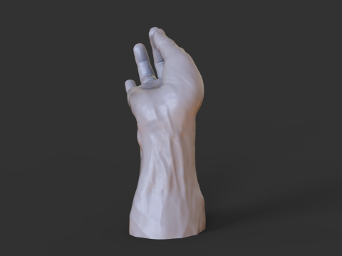 Male Hand Pose - Gesture - 27 3D Print Model