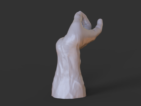 Male Hand Pose - Gesture - 27 3D Print Model