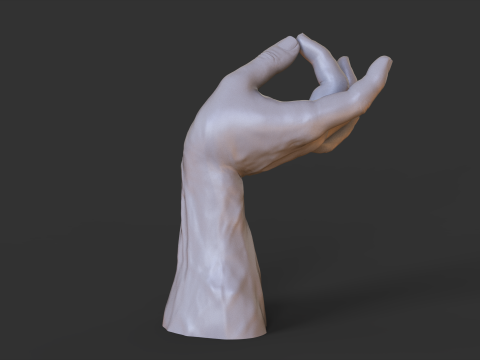 Male Hand Pose - Gesture - 27 3D Print Model