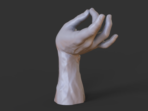 Male Hand Pose - Gesture - 27 3D Print Model