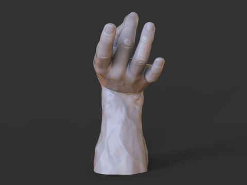 Male Hand Pose - Gesture - 27 3D Print Model