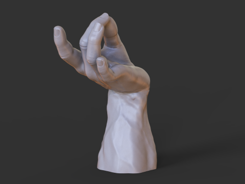 Male Hand Pose - Gesture - 27 3D Print Model