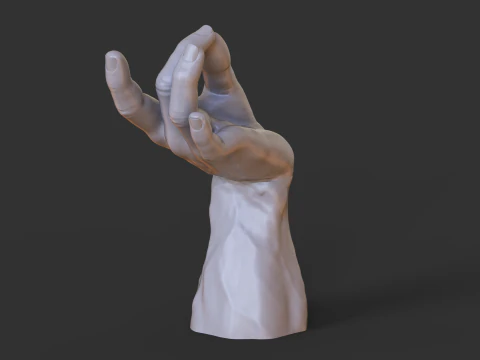 Male Hand Pose - Gesture - 27 3D Print Model