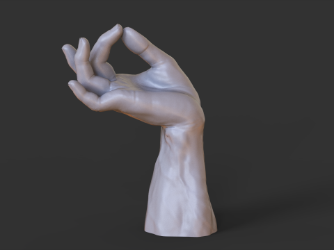 Male Hand Pose - Gesture - 27 3D Print Model