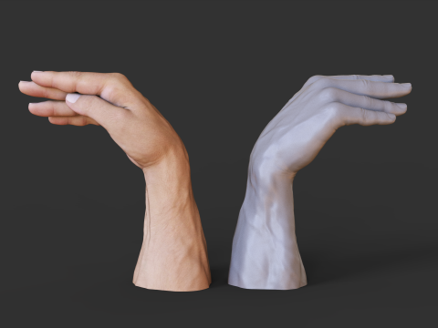 Male Hand Pose - Gesture - 28 3D Print Model