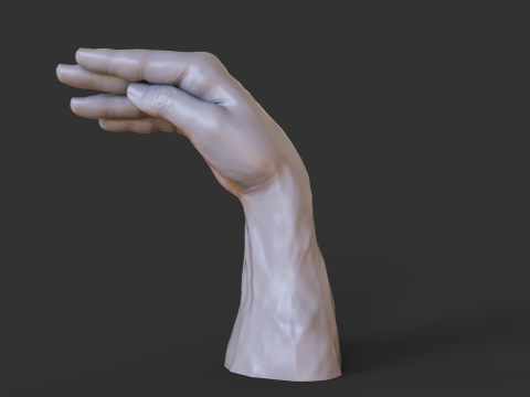 Male Hand Pose - Gesture - 28 3D Print Model