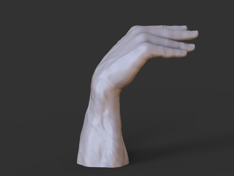 Male Hand Pose - Gesture - 28 3D Print Model