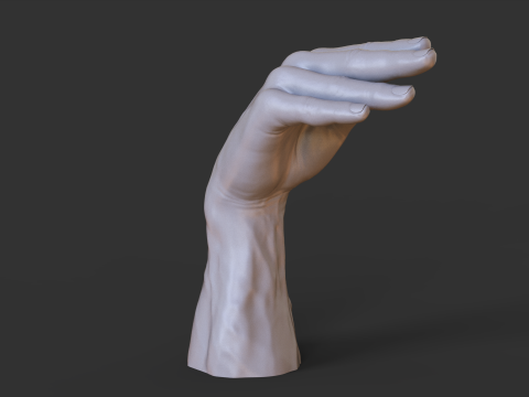 Male Hand Pose - Gesture - 28 3D Print Model