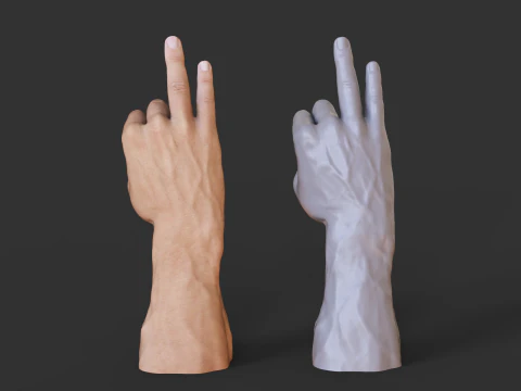Male Hand Pose - Gesture - 29 3D Print Model