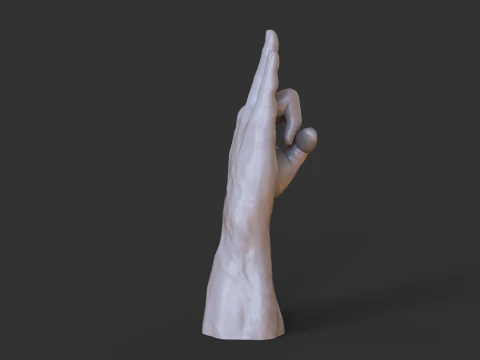 Male Hand Pose - Gesture - 29 3D Print Model