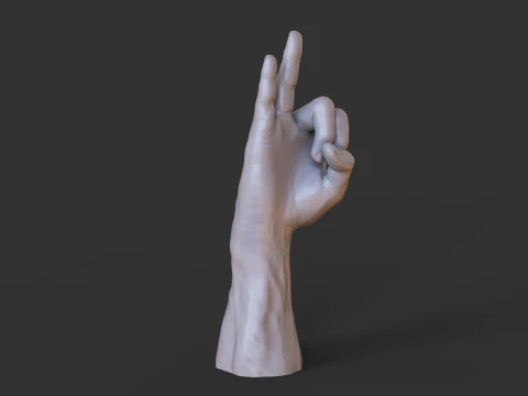 Male Hand Pose - Gesture - 29 3D Print Model