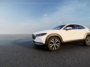 Mazda CX-30 2023 3D Model